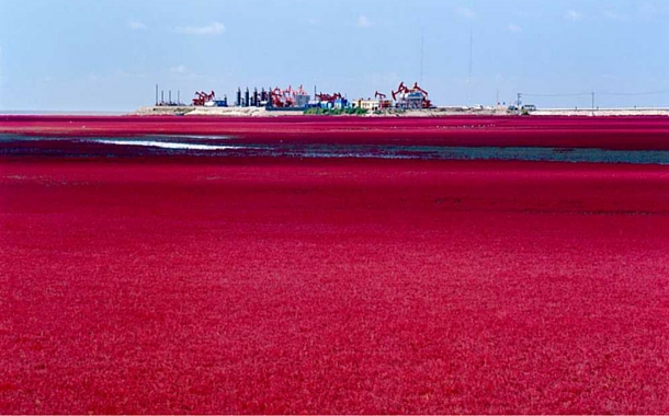 Red Seabeach, China Red Seabeach, China